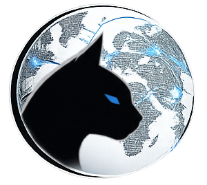 Black Cat Analytics